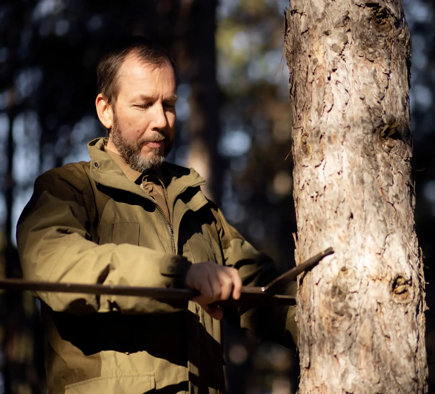 forest project