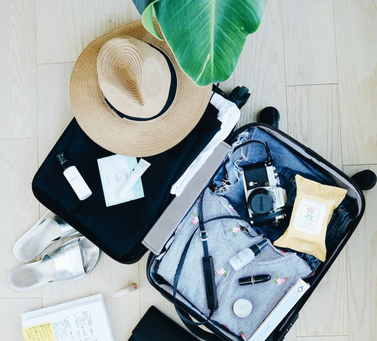travel