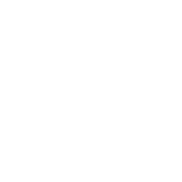 Candidate icon