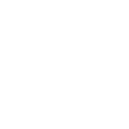 Quality icon