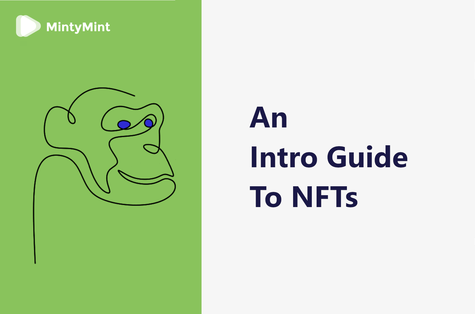 An Intro Guide To NFTs